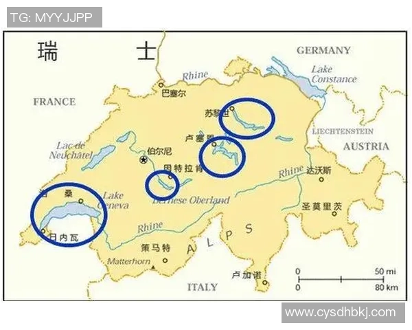 秘鲁足球明星的数量与影响力分析及其在国际舞台上的表现