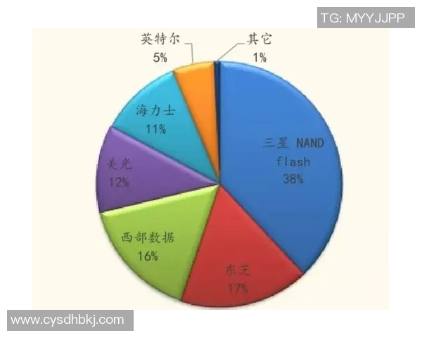 武汉排球队实力分析与发展前景的深度探讨与展望