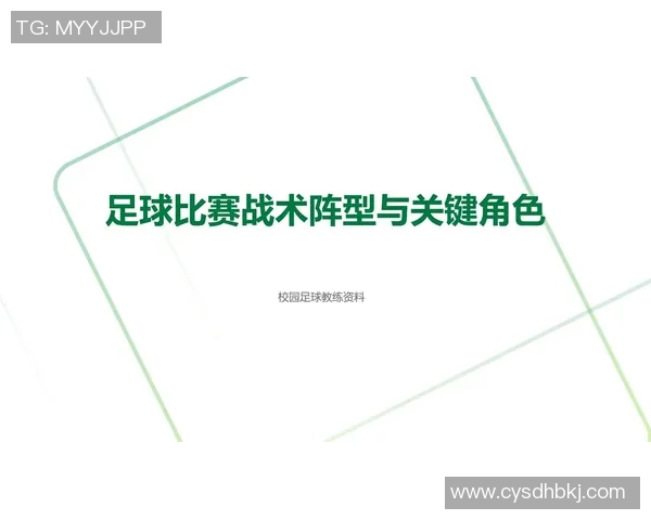 南京足球队战术解析与未来发展方向的深度探讨