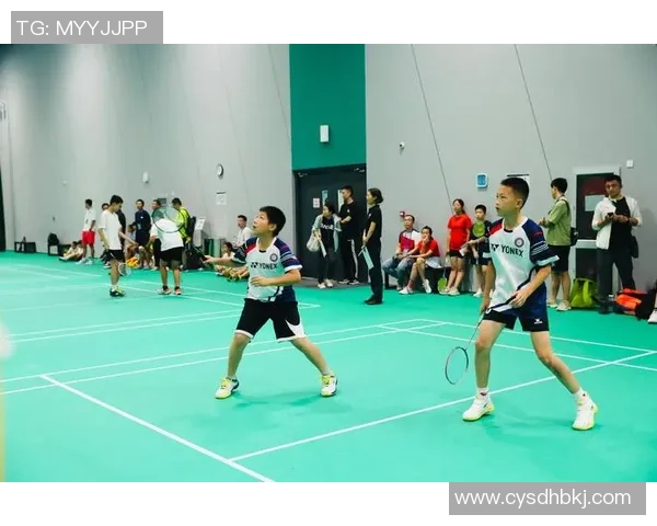 羽毛球状态排行榜揭晓北京羽毛球队荣登第七名位置